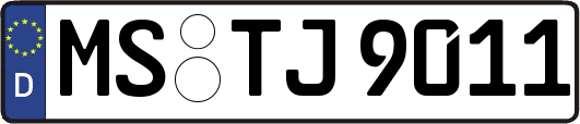 MS-TJ9011