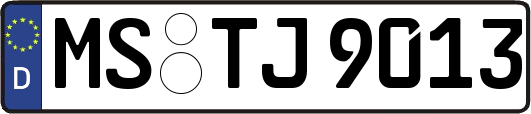 MS-TJ9013