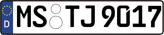 MS-TJ9017