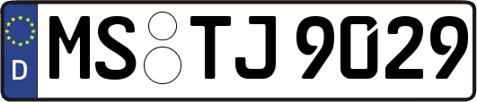 MS-TJ9029