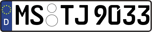 MS-TJ9033