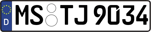 MS-TJ9034