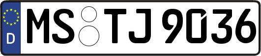MS-TJ9036