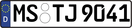 MS-TJ9041