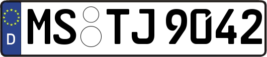MS-TJ9042