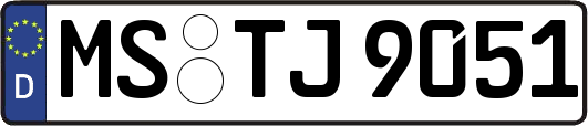 MS-TJ9051