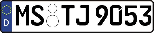 MS-TJ9053