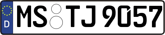 MS-TJ9057