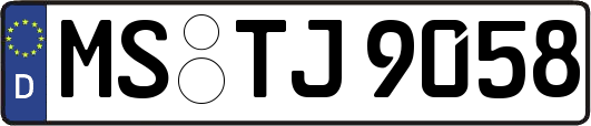 MS-TJ9058