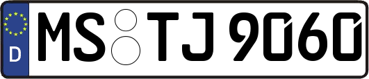 MS-TJ9060
