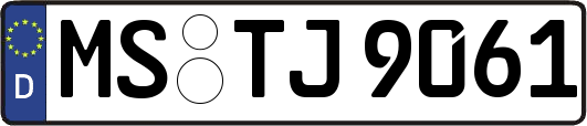MS-TJ9061