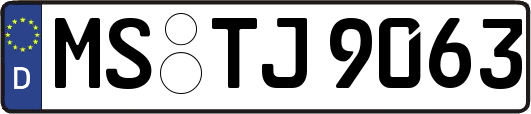 MS-TJ9063