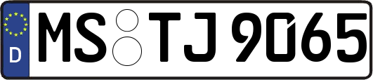 MS-TJ9065
