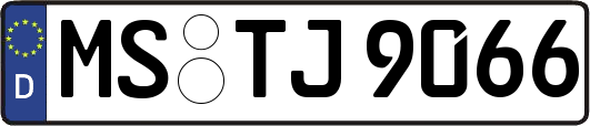 MS-TJ9066