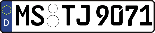 MS-TJ9071