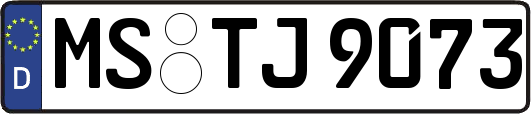 MS-TJ9073