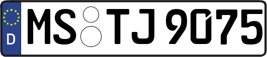 MS-TJ9075