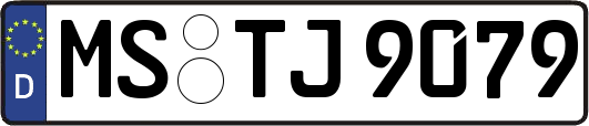 MS-TJ9079