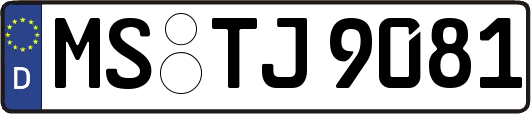 MS-TJ9081