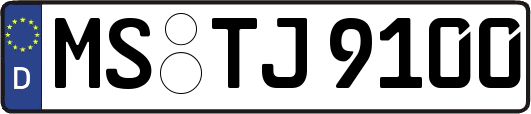 MS-TJ9100