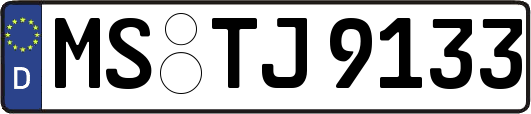 MS-TJ9133