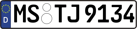 MS-TJ9134