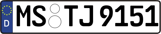 MS-TJ9151