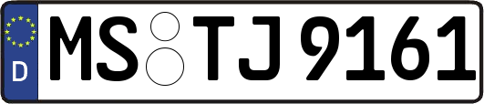 MS-TJ9161