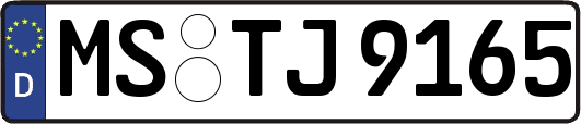 MS-TJ9165