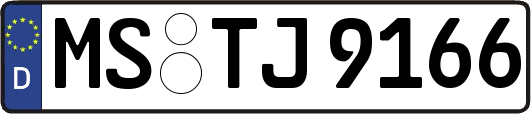 MS-TJ9166