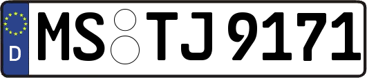 MS-TJ9171