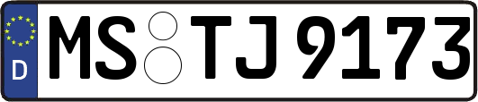 MS-TJ9173