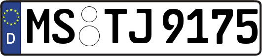 MS-TJ9175