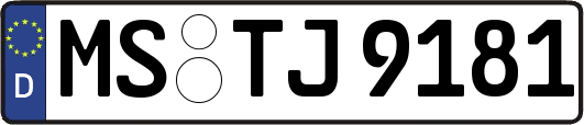 MS-TJ9181