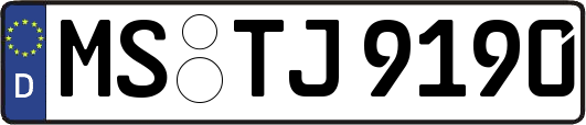 MS-TJ9190