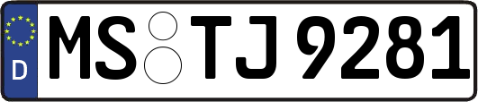 MS-TJ9281