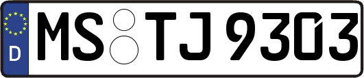MS-TJ9303