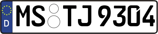 MS-TJ9304