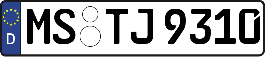 MS-TJ9310