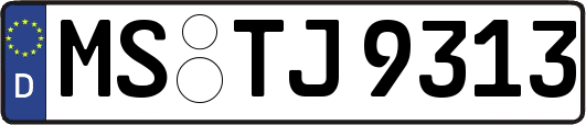 MS-TJ9313