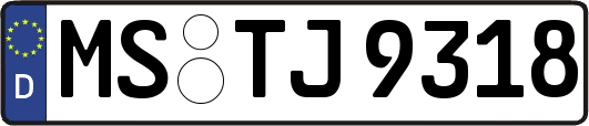 MS-TJ9318