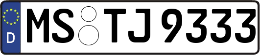 MS-TJ9333
