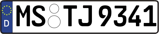 MS-TJ9341