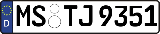 MS-TJ9351