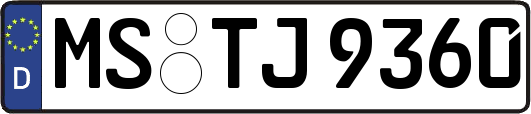 MS-TJ9360