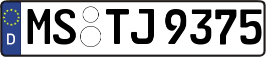 MS-TJ9375
