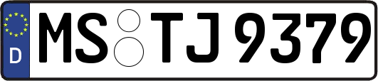 MS-TJ9379