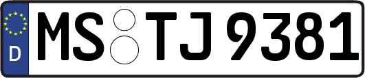 MS-TJ9381