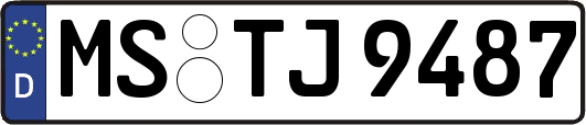 MS-TJ9487