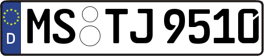 MS-TJ9510